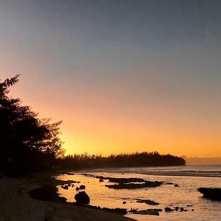 Moorea Temae Bungalow Lory Bord De Mer Dış mekan fotoğraf
