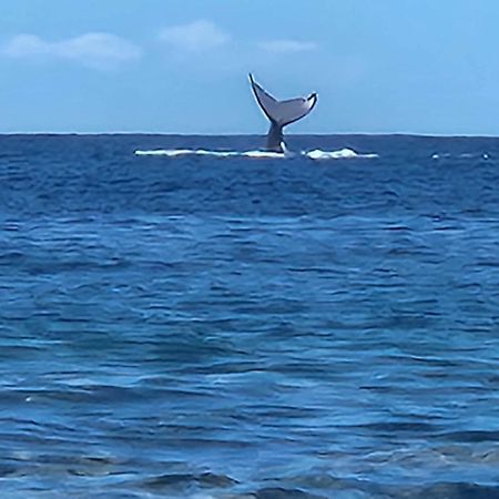 Moorea Temae Bungalow Lory Bord De Mer Dış mekan fotoğraf