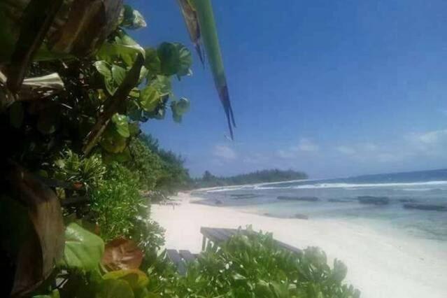Moorea Temae Bungalow Lory Bord De Mer Dış mekan fotoğraf