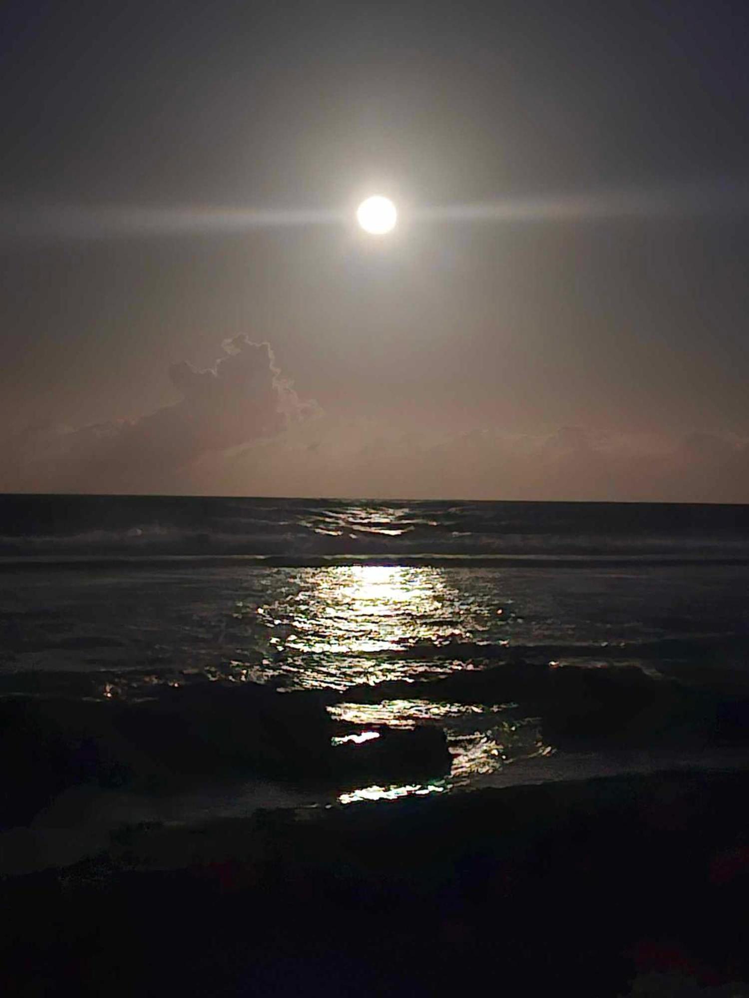 Moorea Temae Bungalow Lory Bord De Mer Dış mekan fotoğraf